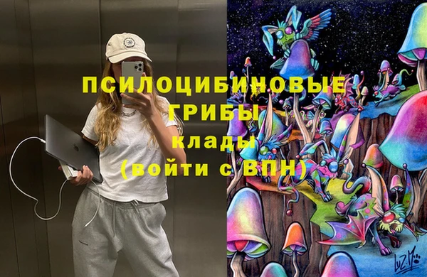 PSILOCYBIN Гусев