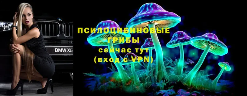 hydra рабочий сайт  Кораблино  нарко площадка телеграм  Галлюциногенные грибы MAGIC MUSHROOMS 